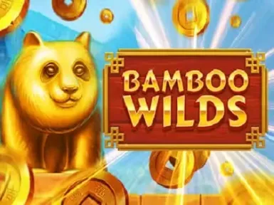 Playbison Casino screenshot